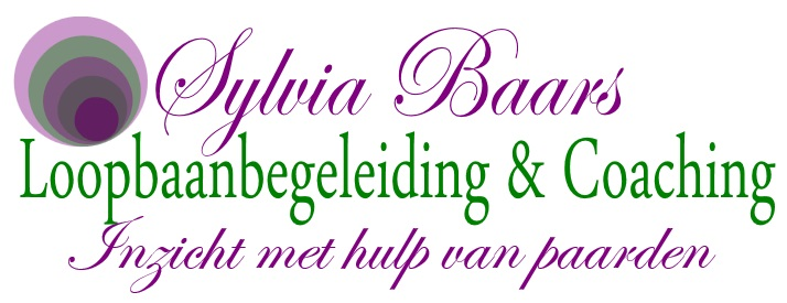 Logo Sylvia Baars Loopbaanbegeleiding, Coaching & Therapie